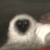 Profile picture of simonm